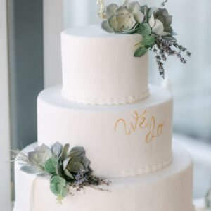 Succulent Garden Cake